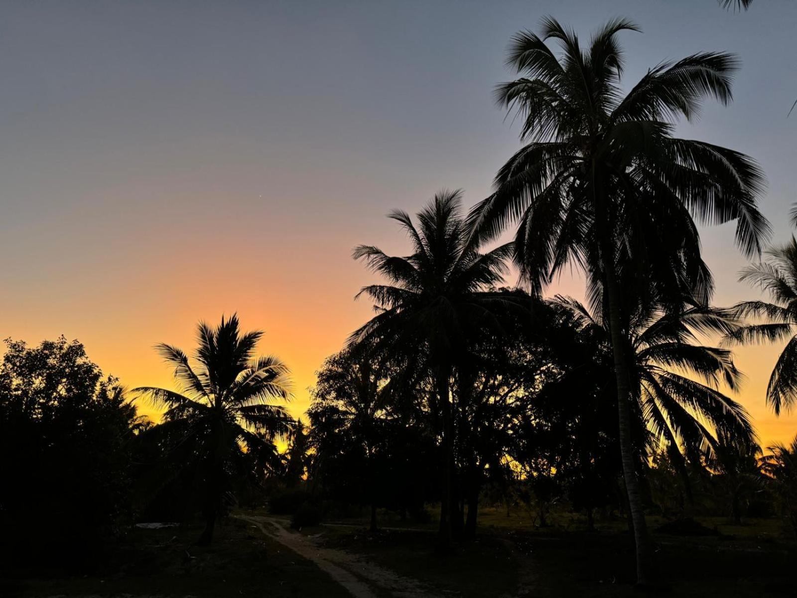 Mafia Island Bungalows Utende 外观 照片